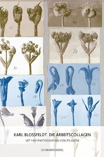 9783829605687: Karl Blossfeldt - Die Arbeitscollagen: Mit 1493 Photographien von Pflanzen