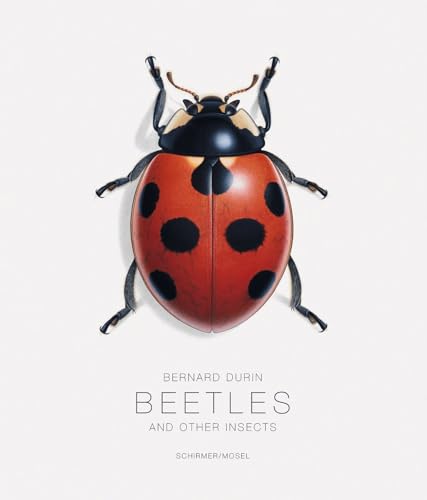 9783829606325: Bernard Durin Beetles and Other Insects /anglais: Beetles and Other Insects (E)