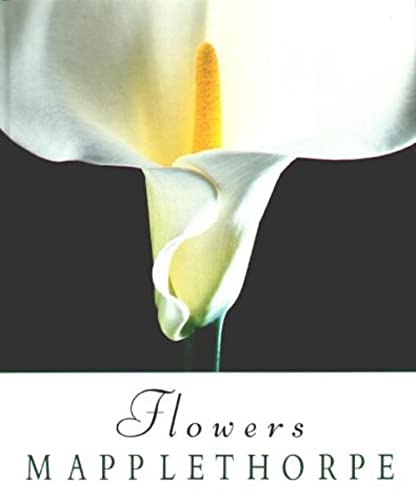 Beispielbild fr Flowers: Farbphotographien 1980-1989 zum Verkauf von medimops