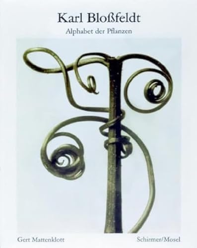 Beispielbild fr Karl Blossfeldt: Alphabet of Plants zum Verkauf von GreatBookPrices