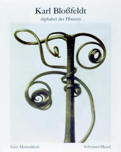 Stock image for Karl Blossfeldt: Alphabet of Plants for sale by GreatBookPrices