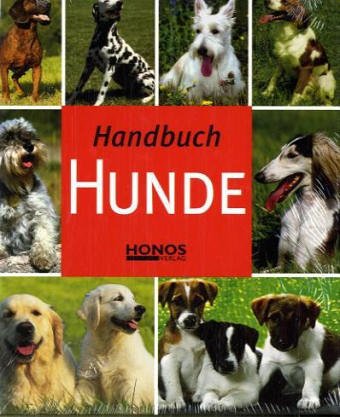 Stock image for Handbuch Hunde for sale by medimops