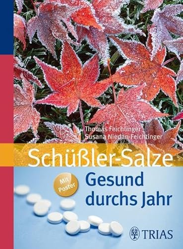 Imagen de archivo de Schler-Salze: Gesund durchs Jahr a la venta por medimops