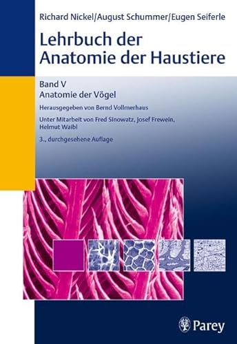 Stock image for Anatomie Der Vgel: Bd.5 for sale by Revaluation Books