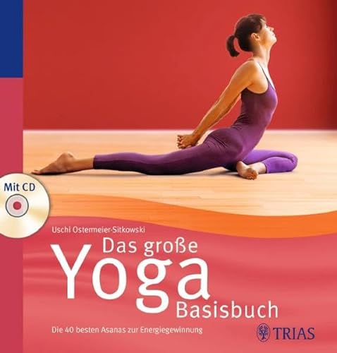 Stock image for Das groe Yoga Basisbuch: Die 40 besten Asanas zur Energiegewinnung for sale by medimops