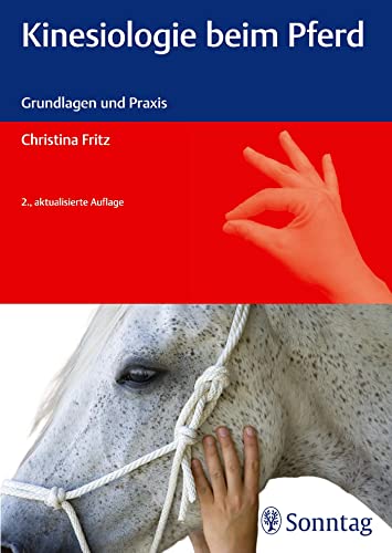 Stock image for Kinesiologie beim Pferd -Language: german for sale by GreatBookPrices