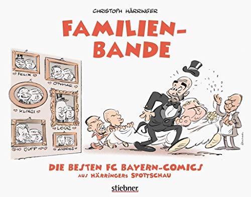 Stock image for Familienbande: Die besten FC-Bayern-Comics aus Hrringers Spottschau for sale by medimops
