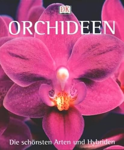 Orchideen. Die schönsten Arten und Hybriden.