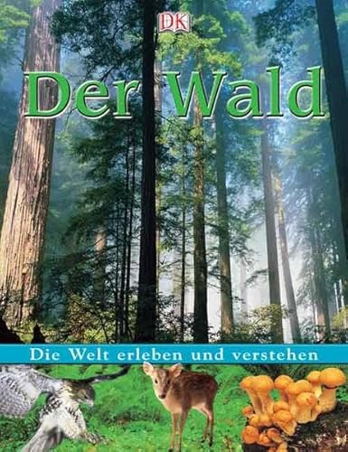 Die Welt erleben und verstehen. Der Wald - Lock, Deborah, Mack, Lorrie