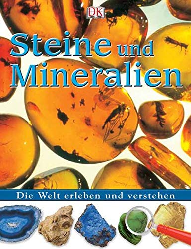 Stock image for Steine und Mineralien: Die Welt erleben und verstehen for sale by medimops