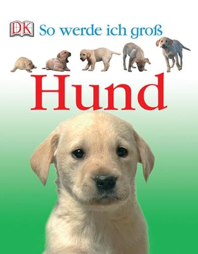 Stock image for So werde ich gro : Hund for sale by ThriftBooks-Atlanta
