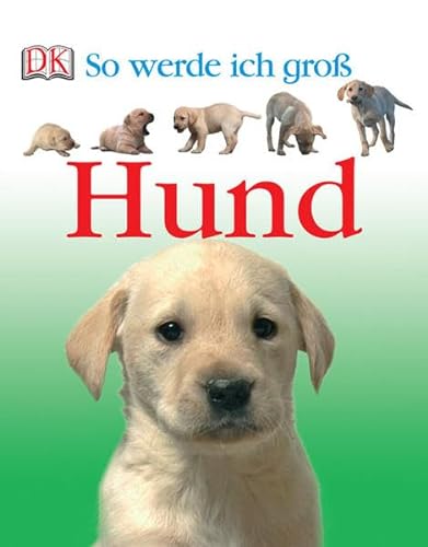 Stock image for So werde ich gro: Hund for sale by ThriftBooks-Atlanta