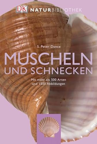 9783831007899: Natur-Bibliothek Muscheln und Schnecken: Mit mehr als 500 Arten und 1500 Abbildungen