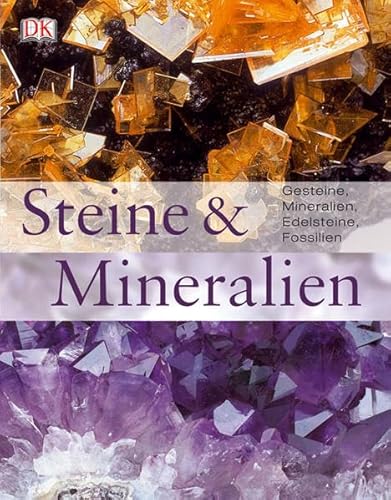 9783831007905: Steine und Mineralien: Gesteine, Mineralien, Edelsteine, Fossilien