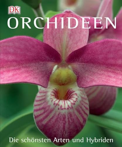 Beispielbild fr Orchideen: Die schnsten Arten und Hybriden zum Verkauf von medimops