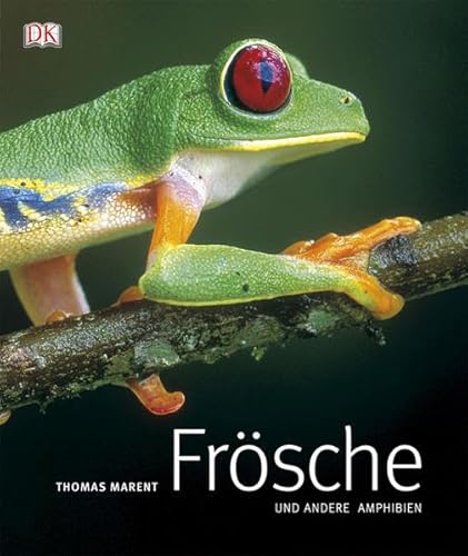 Beispielbild fr Frsche und andere Amphibien zum Verkauf von Der Bcher-Br