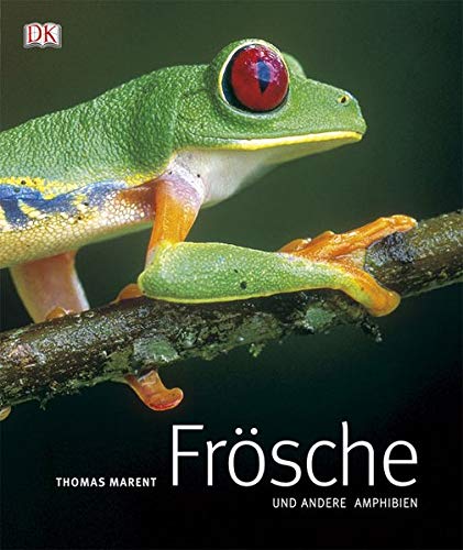 Imagen de archivo de Frsche and andere Amphibien a la venta por medimops