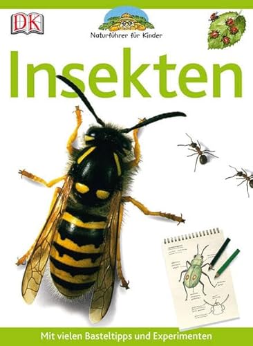 9783831013968: Naturfhrer fr Kinder. Insekten: Mit vielen Basteltipps und Experimenten