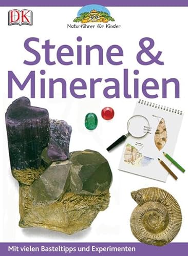 9783831013999: Naturfhrer fr Kinder. Steine & Mineralien: Mit vielen Basteltipps und Experimenten