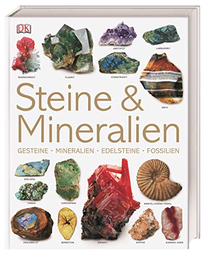 Stock image for Steine & Mineralien: Gesteine, Mineralien, Edelsteine, Fossilien for sale by medimops