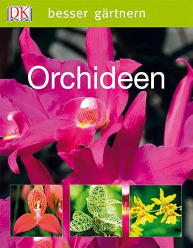 Stock image for besser grtnern Orchideen for sale by medimops
