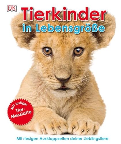Stock image for Tierkinder in Lebensgre: Mit riesigen Ausklappseiten deiner Lieblingstiere & Tiermesslatte for sale by medimops