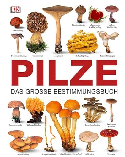 Stock image for Pilze: Das groe Bestimmungsbuch for sale by medimops