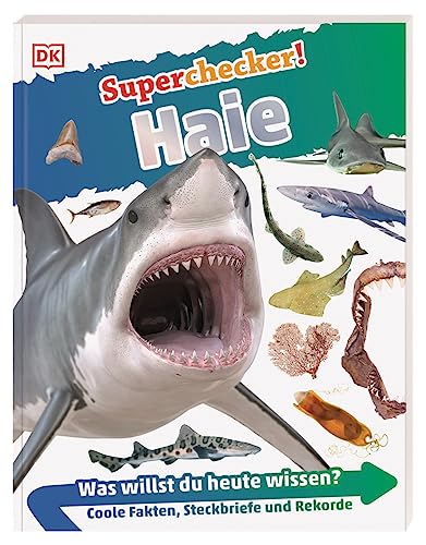 Stock image for Superchecker! Haie: Was willst du heute wissen? Coole Fakten, Steckbriefe und Rekorde for sale by Chiron Media