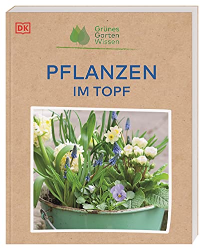 Stock image for Grnes Gartenwissen. Pflanzen im Topf -Language: german for sale by GreatBookPrices