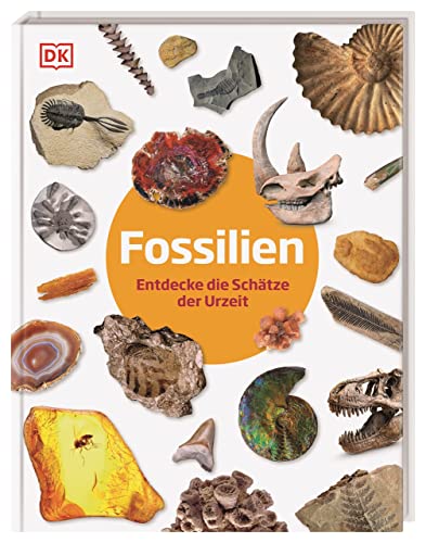 Stock image for Fossilien for sale by Blackwell's