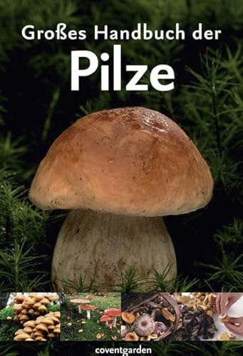 Beispielbild fr Groes Handbuch der Pilze zum Verkauf von medimops