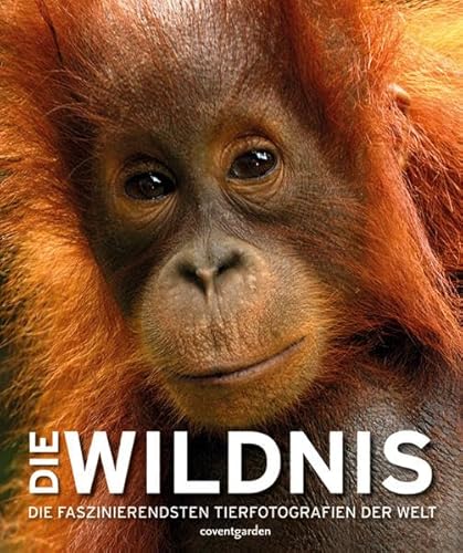 Beispielbild fr Die Wildnis - Die faszinierendsten Tierfotografien der Welt zum Verkauf von Sammlerantiquariat