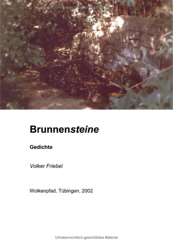 Stock image for Brunnensteine for sale by medimops