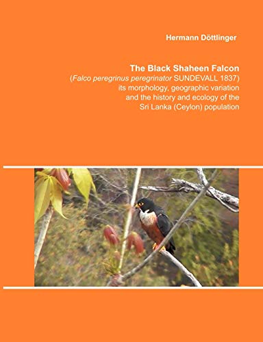 9783831136261: The Black Shaheen Falcon (Falco peregrinus peregrinator SUNDEVALL 1837), its morphology, geographic