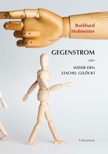 Stock image for Gegenstrom oder Wider den Stachel gelckt (Literareon) for sale by medimops