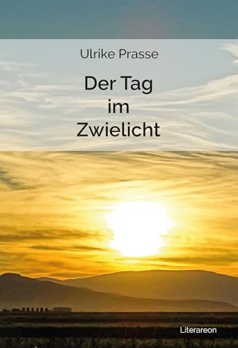 Stock image for Der Tag im Zwielicht for sale by PBShop.store US