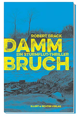 Stock image for Dammbruch: Ein Sturmflut-Thriller for sale by Goldstone Books
