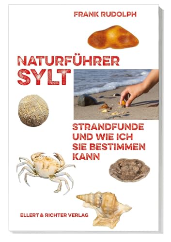 Immagine stock per Naturf�hrer Sylt: Strandfunde und wie ich sie bestimmen kann
