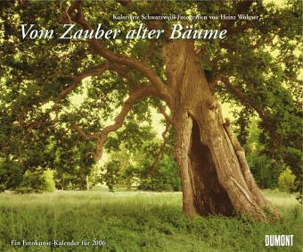 9783832000004: Zauber uralter Bume. Kalender 2004 (Livre en allemand)