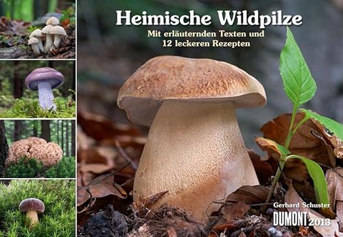 Heimische Wildpilze 2013 BroschÃ¼renkalender (9783832022112) by Unknown Author