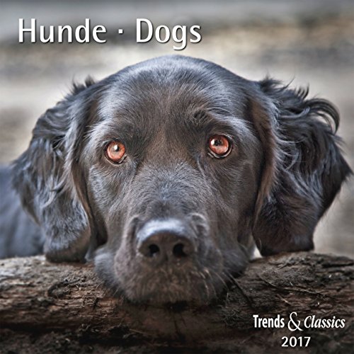 9783832033675: Hunde Dogs 2017