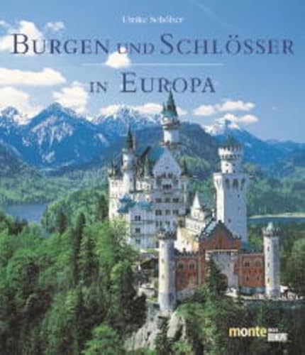 Stock image for Burgen und Schlsser in Europa. for sale by Bokel - Antik