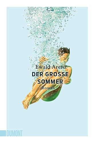 Stock image for Der groe Sommer: Roman for sale by medimops