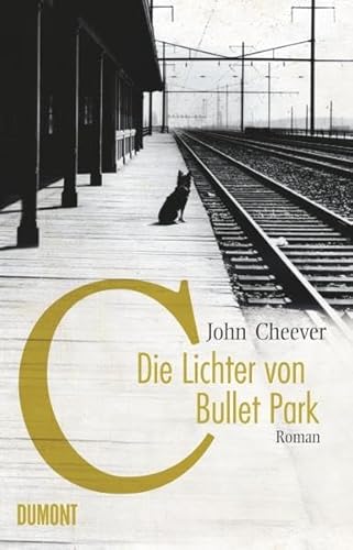 Stock image for Die Lichter von Bullet Park for sale by medimops