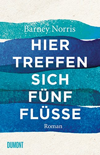 Stock image for Hier treffen sich fnf Flsse: Roman for sale by medimops