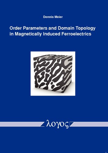 Beispielbild fr Order Parameters and Domain Topology in Magnetically Induced Ferroelectrics zum Verkauf von ISD LLC