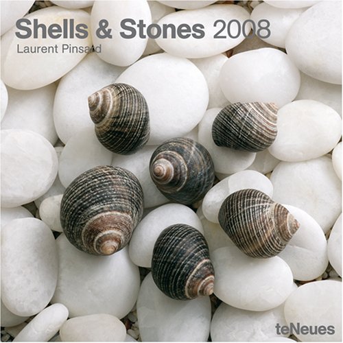 Beispielbild fr Shells & Stones 2008 zum Verkauf von Martin Preu / Akademische Buchhandlung Woetzel