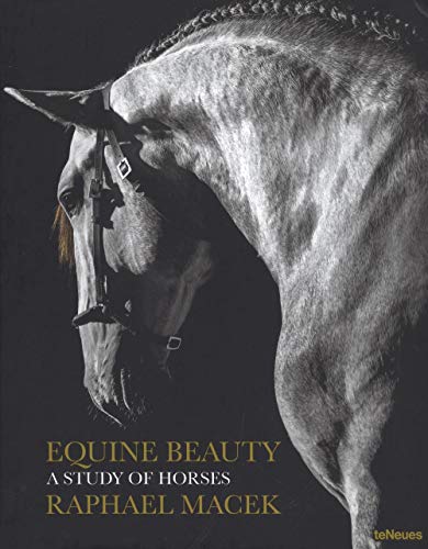 Stock image for Equine Beauty: A Study of Horses for sale by Hafa Adai Books