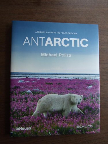 9783832793173: Antarctic. A tribute to life in the polar regions. Ediz. multilingue (Photographer)