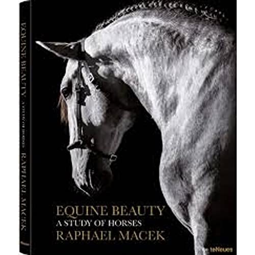 Stock image for Equine Beauty for sale by GoldBooks